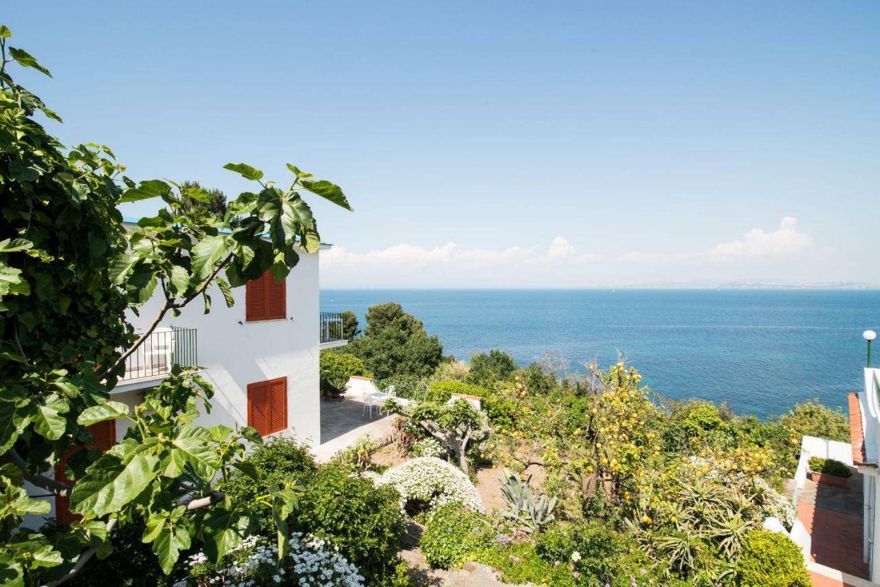 Hotel Bagnitiello Casamicciola Terme Екстер'єр фото